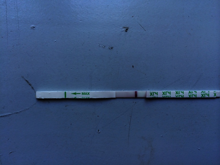 Бишур стоят на своем