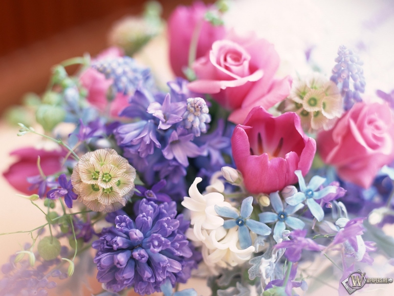 d3c35771baa7c110f11a6f8e74500fae.jpg