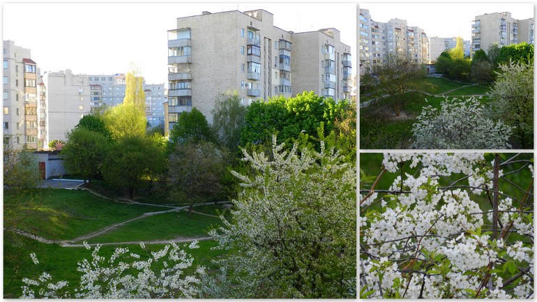 Декрет. Первое приданое. Весна в городе