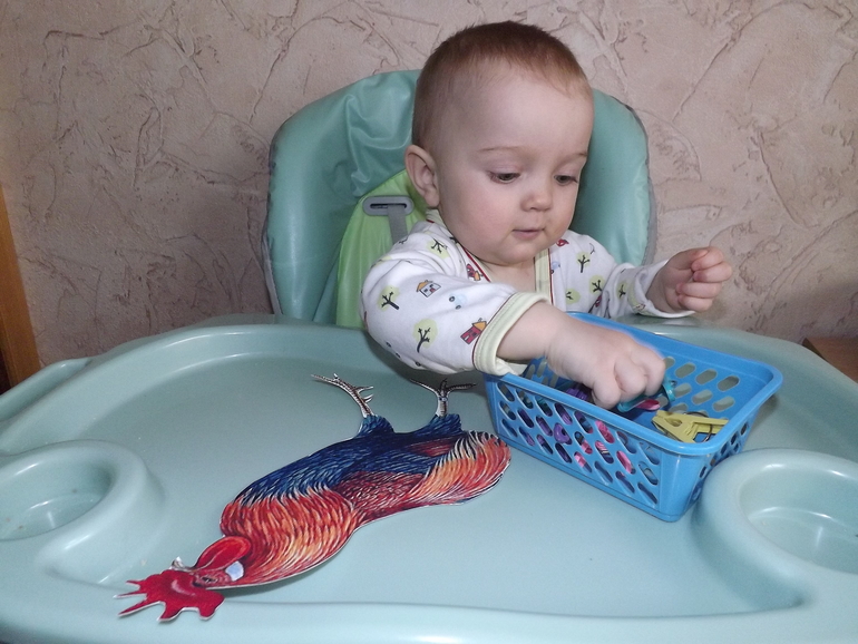 наш отчет ТЗ