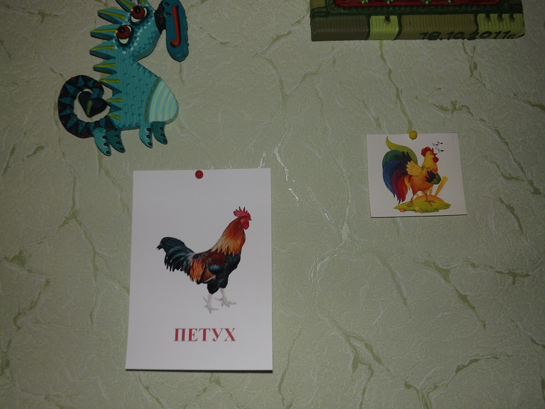 наш отчет ТЗ