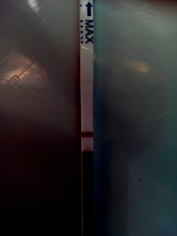 девочки!!!!! оно???!!!