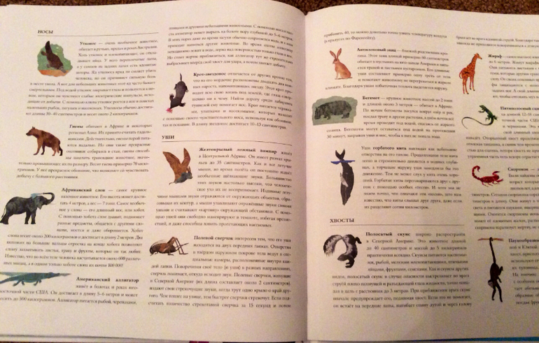 Интересные факты о животных