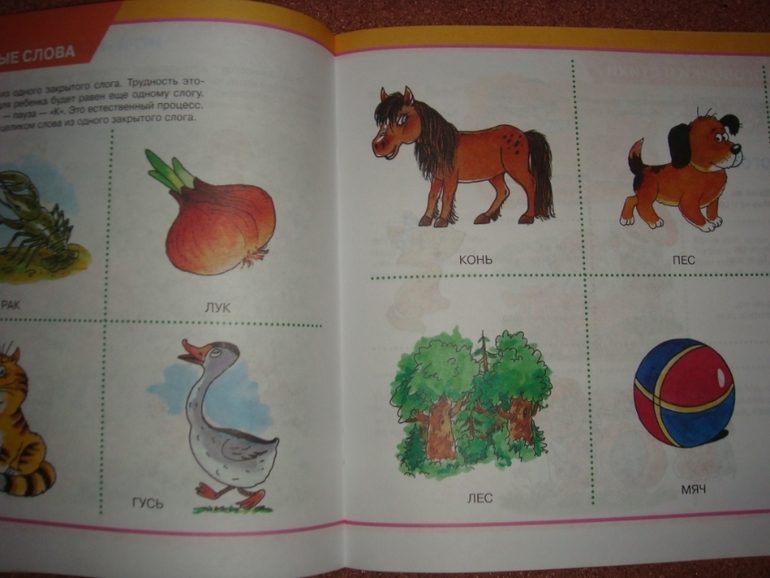 Альбом по развитию речи!