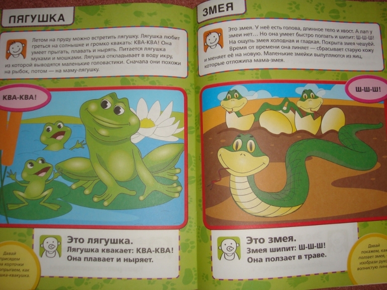 Развитие речи. Продолжение.