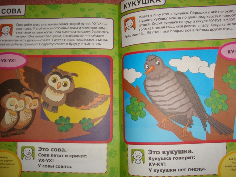 Развитие речи. Продолжение.