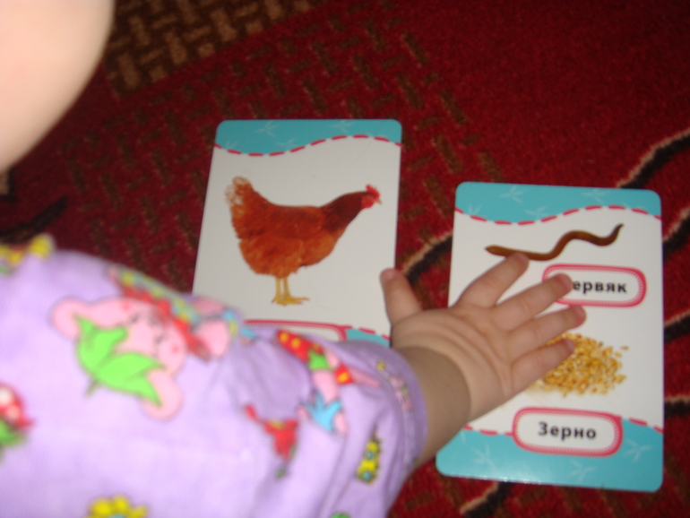ТЗ. Курица, петух, цыпленок.