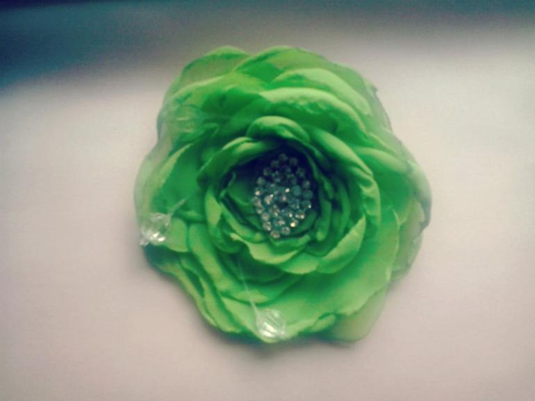 не совсем  цветочек ...