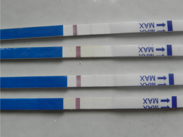 Мои тесты- призраки