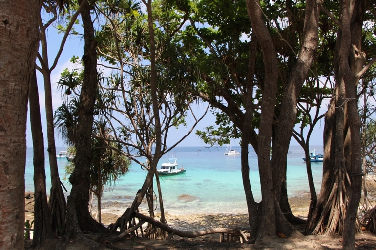 Моя другая жизнь.