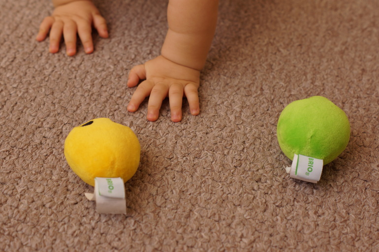 Шичида для малышей