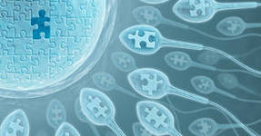 Планирование беременности:Анализы,витамины ,рекомендации.( Для будущего папочки) п