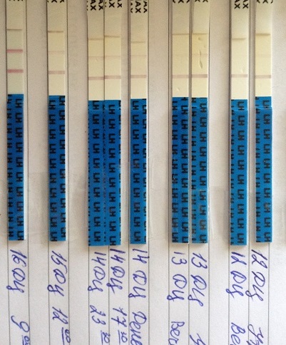 Тест на О! Она???