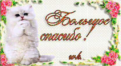 888ef7f283a16c6dccac89b102968831.gif