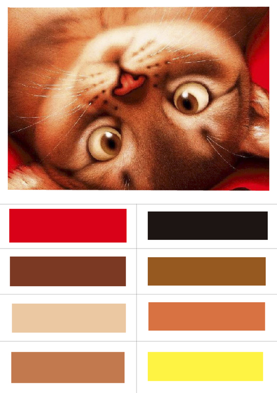 Подборка палитры цветов