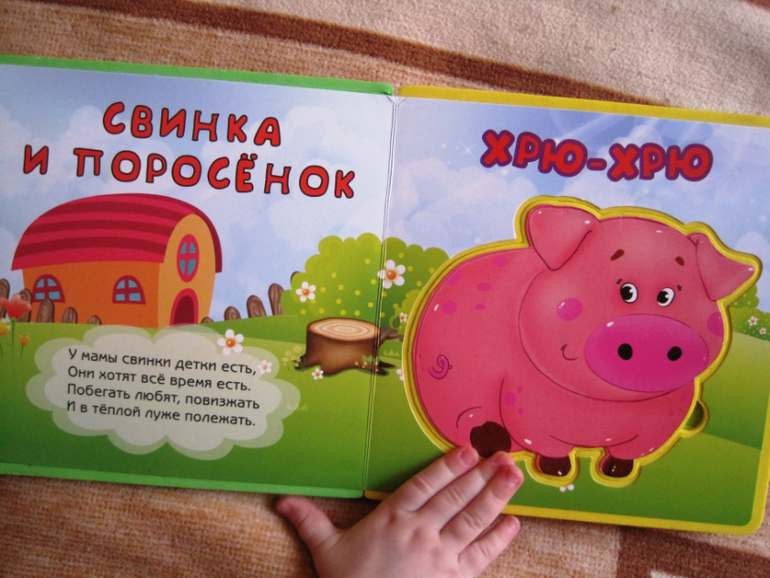 Книги, которые нас заинтересовали в годик.