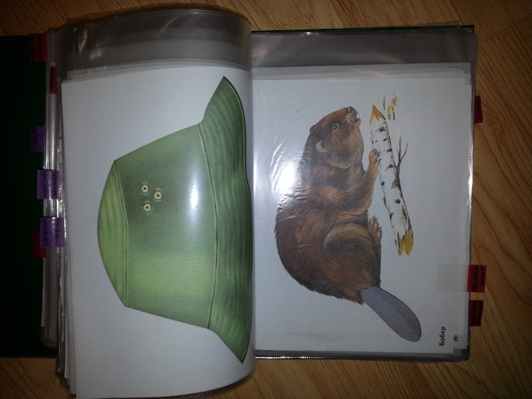 Продам пособия в картинках для маленьких ребят все за 500 руб.