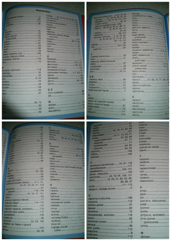 Наши игры с животными)