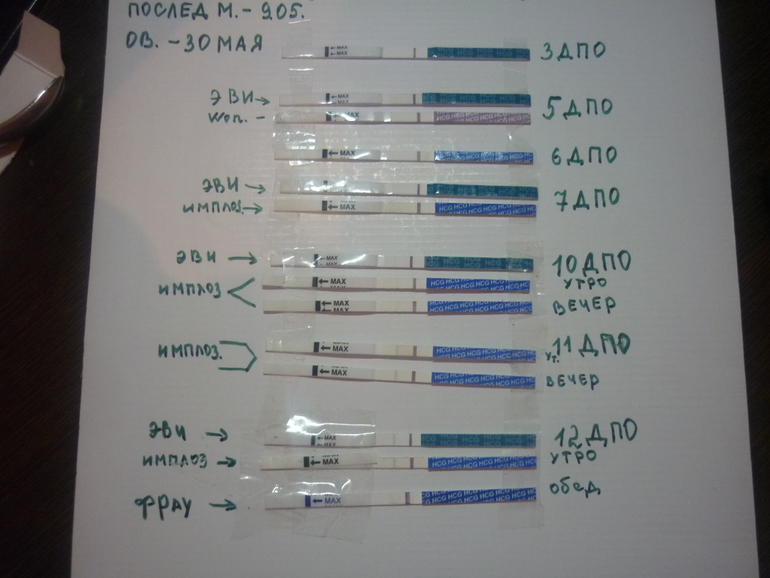 Тест на беременность на 5 день после овуляции