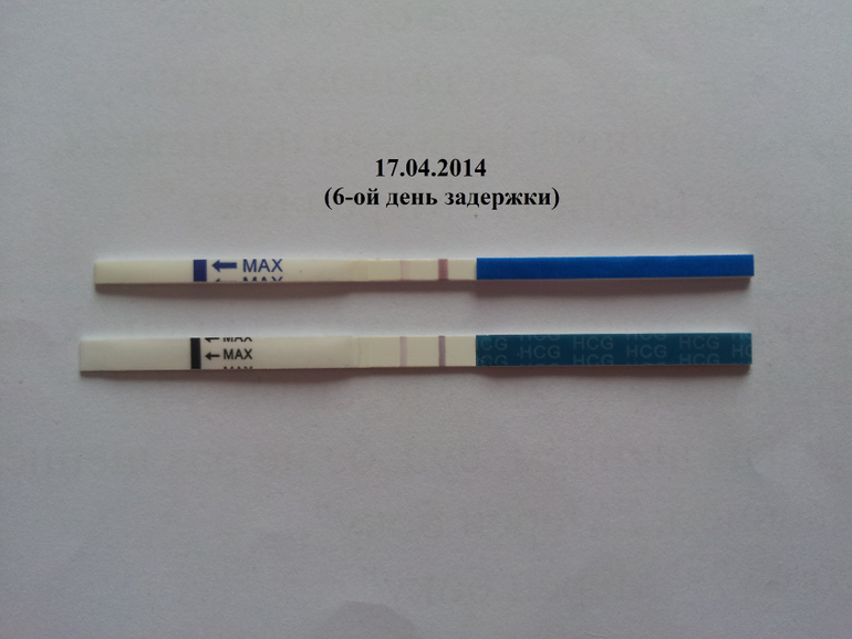 Сравнение тестов разных фирм (3-ий и 6-ой дни задержки).