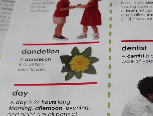 Тематическое занятие Одуванчик