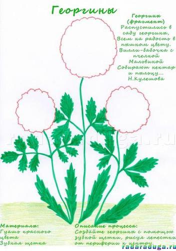 Летний альбом. Часть 1. Цветы. Творчество.