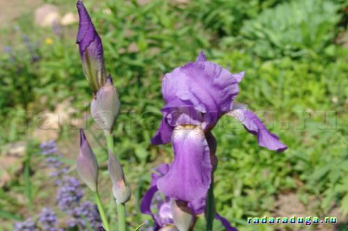 Цветочное творчество