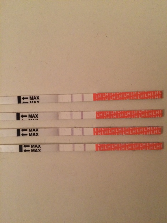 be545d9ef0d3f2115ff54b39f41510fe.jpg