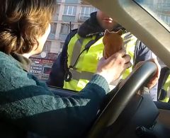 Гаишник и говорящий хомяк