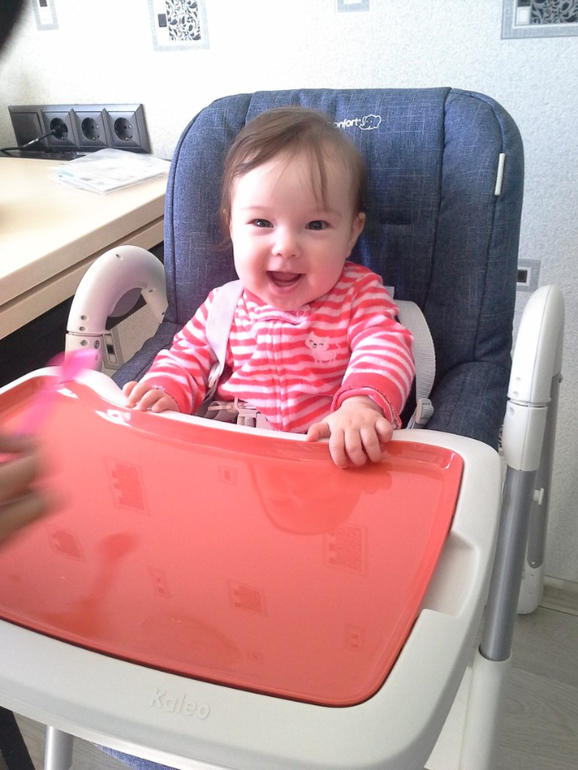 Стульчик BebeConfort Kaleo