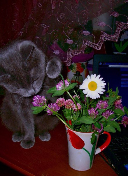 Надежда Духанина Терехова