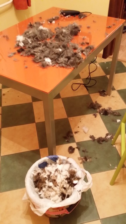 А что это такое?!