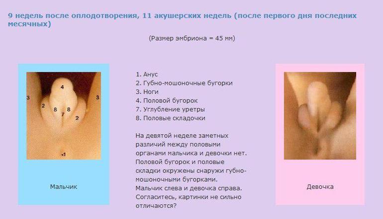 fc767ffaf678269ffe3de95d5b60303a.jpg
