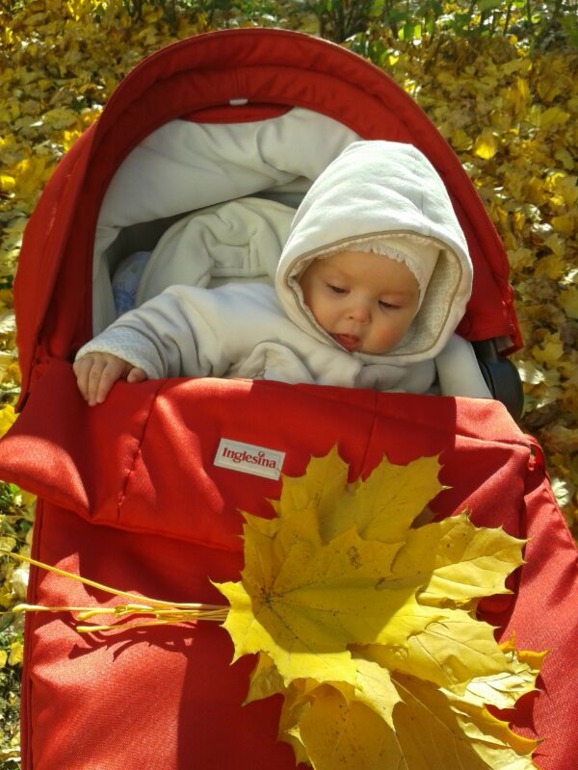 растем: 7 месяцев