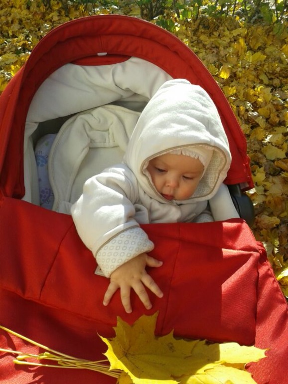 растем: 7 месяцев