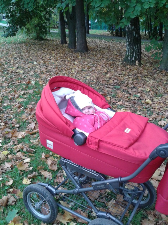 растем: 5-6 месяцев