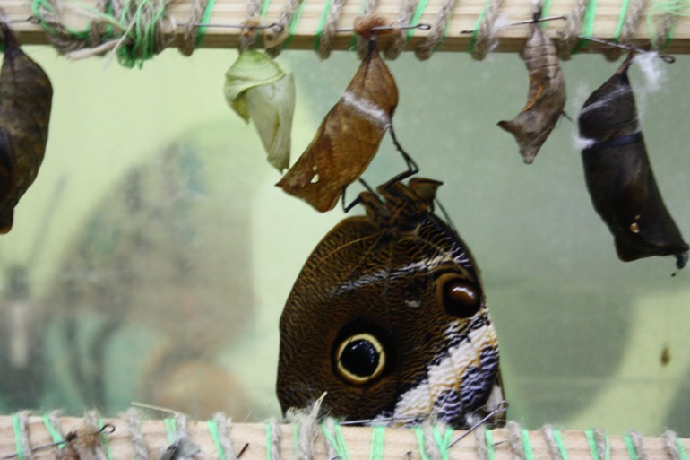 Насыщенный вышел денёк!!!