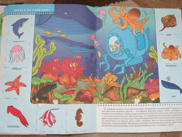 Отчет  по ТЗ