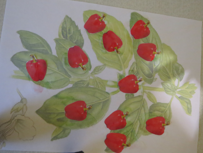 ТН "Как растут овощи" Отчет день 3