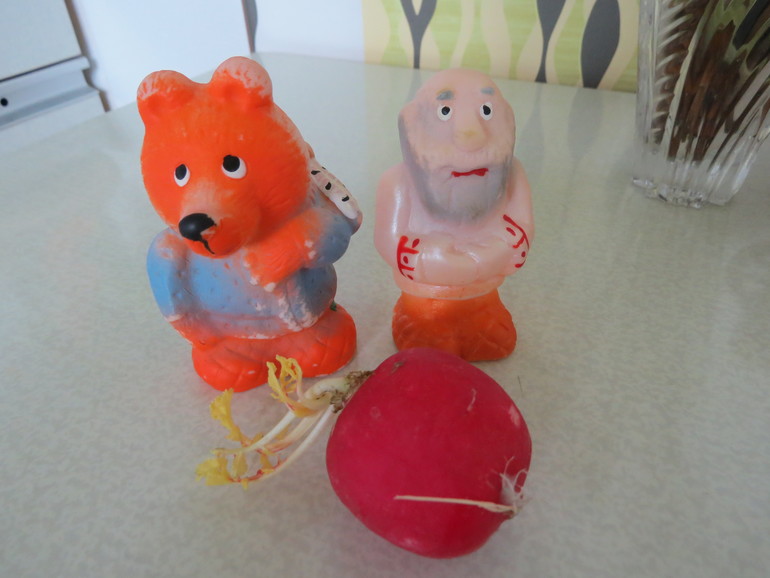 ТН "Как растут овощи" Отчет день 3