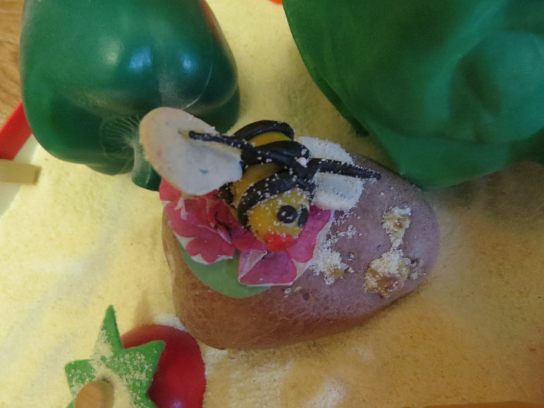 ТН "Как растут овощи" Отчет день 5