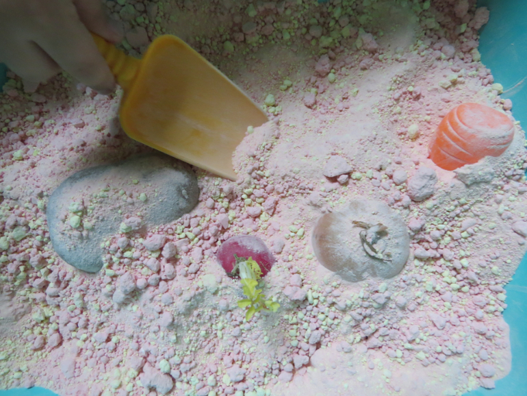 ТН "Как растут овощи" Отчет день 3