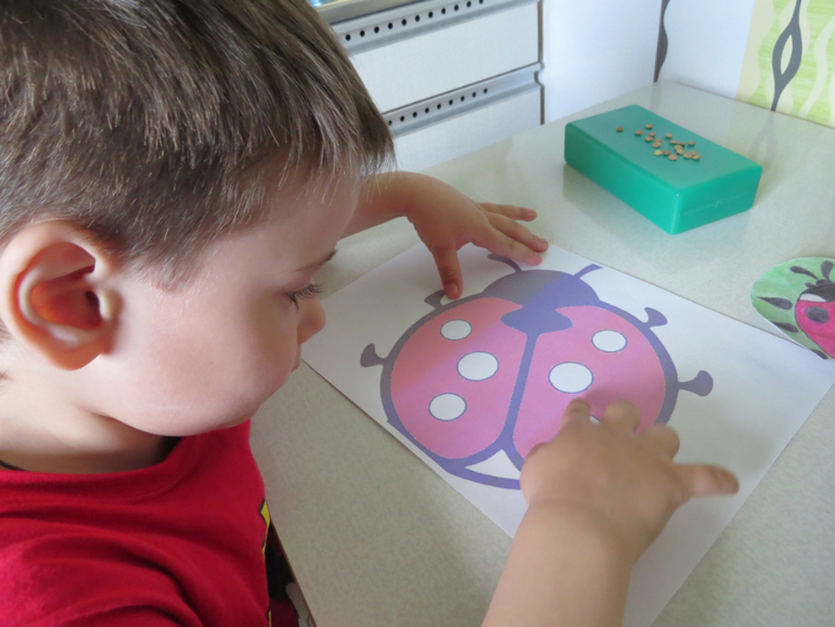 ТН "Как растут овощи" Отчет день 4