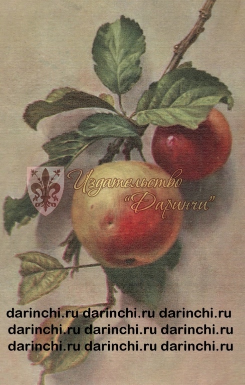 Винтажные открытки издательства