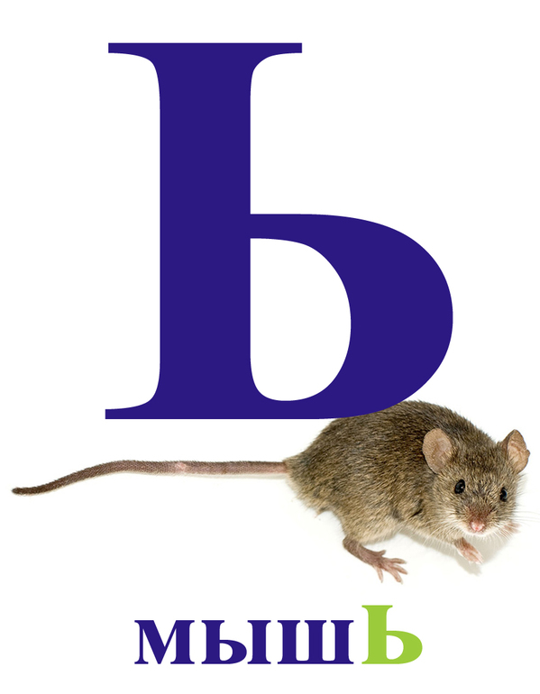 алфавит для дочки