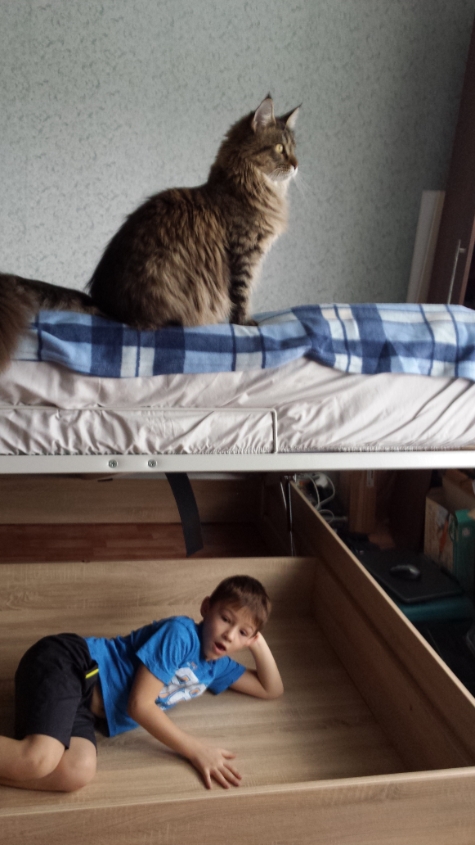 Примеряем новую кровать