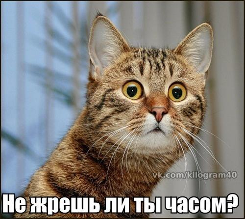 картинки под моё настроение!!!