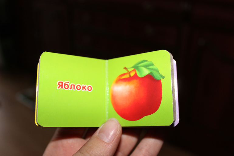 Наша книжная полка