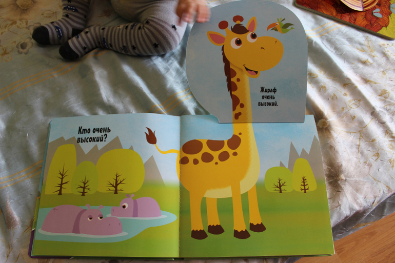 Наша книжная полка