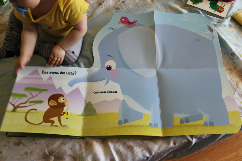 Наша книжная полка